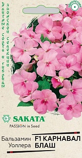 Бальзамин Уоллера F1 Карнавал блаш, 5 шт. Саката.