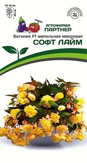 Бегония F1 ампельная махровая Софт Лайм, 5 шт.