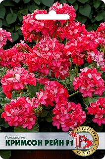 Пеларгония Кримсон Рейн F1, 5 шт. Биотехника