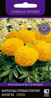Бархатцы прямостоячие Антигуа Еллоу, 15 шт. Семена профи