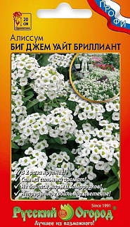 Алиссум Биг Джем Уайт Бриллиант, 30 шт. Русский огород