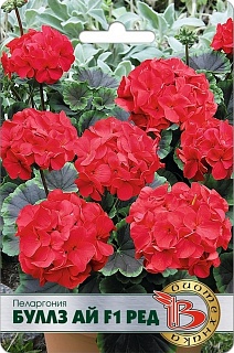 Пеларгония Буллз Ай F1 Ред, 5 шт. Биотехника