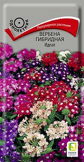 Вербена гибридная Идеал, 0,2 г