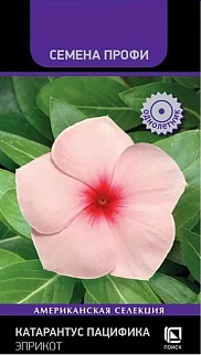 Катарантус Пацифика Эприкот, Семена Профи, 10 шт.