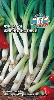 Лук батун Жирнолистный, 1 г