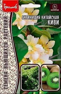 Актинидия Китайская  Киви 30 шт.