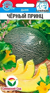 Дыня Черный принц, 5 шт.