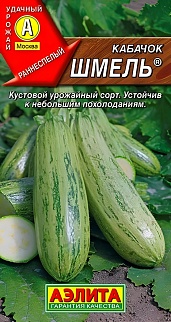 Кабачок цуккини Шмель, 1 г