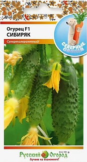 Огурец Сибиряк F1, 10 шт. Русский огород