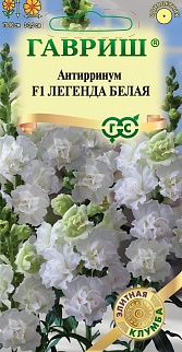 Антирринум (Львиный зев) Легенда белая F1, 5 шт. Элитная клумба