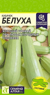 Кабачок Белуха, 2 г. Сибирская селекция.
