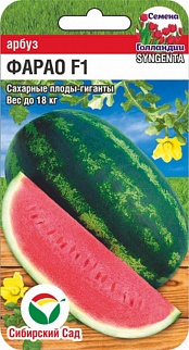 Арбуз Фарао, 4 шт. Сибирский сад