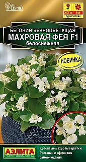 Бегония вечноцветущая махровая Фея F1 белоснежная, 5 шт.