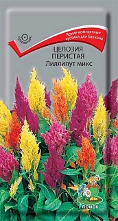 Целозия перистая Лиллипут микс, 0,1 г