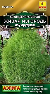 Кохия Живая изгородь изумрудная, 0,1 г