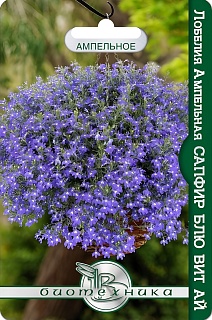 Лобелия Сапфир Блю Вит Ай, 1000 шт. 