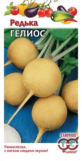 Редька Гелиос, 2 г