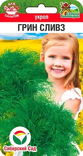 Укроп Грин Сливз, 0,8 г. Семена Голландии. Сибирский сад.