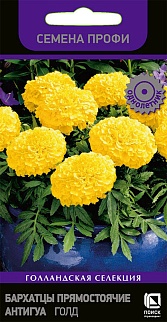Бархатцы прямостоячие Антигуа Голд, 15 шт. Голландская селекция