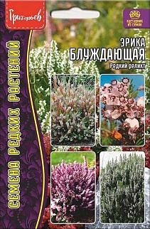 Эрика блуждающая (редкий реликт), 15 шт.