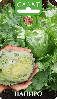Салат кочанный Папиро, 20 шт. Биотехника