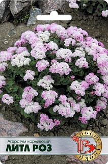 Агератум карликовый Литл Роз, 200 шт. Биотехника