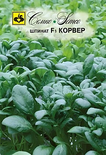 Шпинат Корвер F1, 2 г