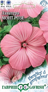 Лаватера Монт Розе, 0,3 г. Устойчив к заморозкам.