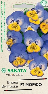 Виола Морфо 5 шт. Саката.