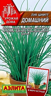 Лук шнитт Домашний, 0,5 г