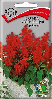 Сальвия сверкающая Карабинер, 0,1 г