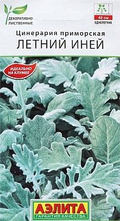 Цинерария Летний Иней, 0,05 г