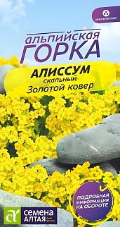 Алиссум Золотой Ковер, многолетник Альпийская горка, 0,1 г