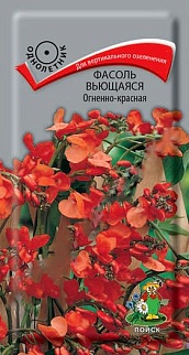 Фасоль вьющаяся Огненно-красная, 5 шт.