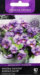 Фиалка рогатая Флорал Пауэр Плам Антик, 10 шт.