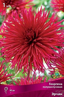 Георгина полукактосовая Эрчин, 1 шт.
