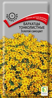 Бархатцы тонколистные Золотой самоцвет, 0,1 г