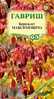 Бересклет Максимовича, 0,2 г. Лесной уголок.