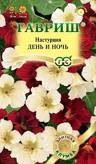 Настурция День и ночь, 1 г. Элитная клумба.