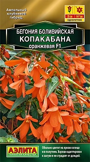 Бегония боливийская Копакабана F1, оранжевая, 5 шт.