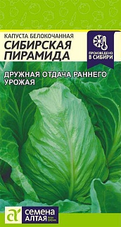 Капуста белокочанная Сибирская Пирамида, 0,5 г