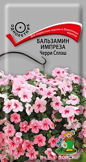 Бальзамин импреза Черри сплэш, 10 шт.