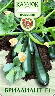 Кабачок цуккини Бриллиант F1, 6 шт. Биотехника.
