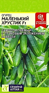 Огурец Маленький Хрустик F1, 5 шт. 