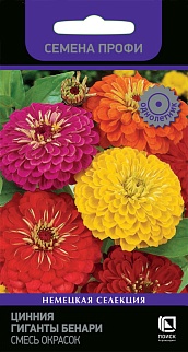 Цинния Гиганты Бенари Смесь окрасок, 10 шт. Семена профи.