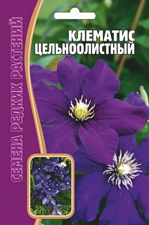 Клематис Цельнолистный, 5 шт.