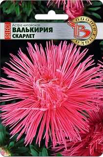 Астра китайская Валькирия селект Скарлет, 30 шт. Биотехника