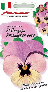 Виола Пандора Английская Роза F1, 5шт. Фарао.