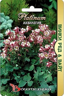 Аквилегия Винки Ред и Вайт, 10 шт. Платинум  Биотехника