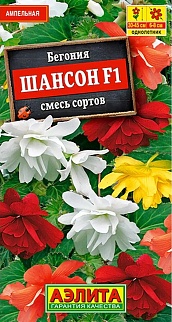 Бегония ампельная Шансон F1, смесь сортов, 10 шт.